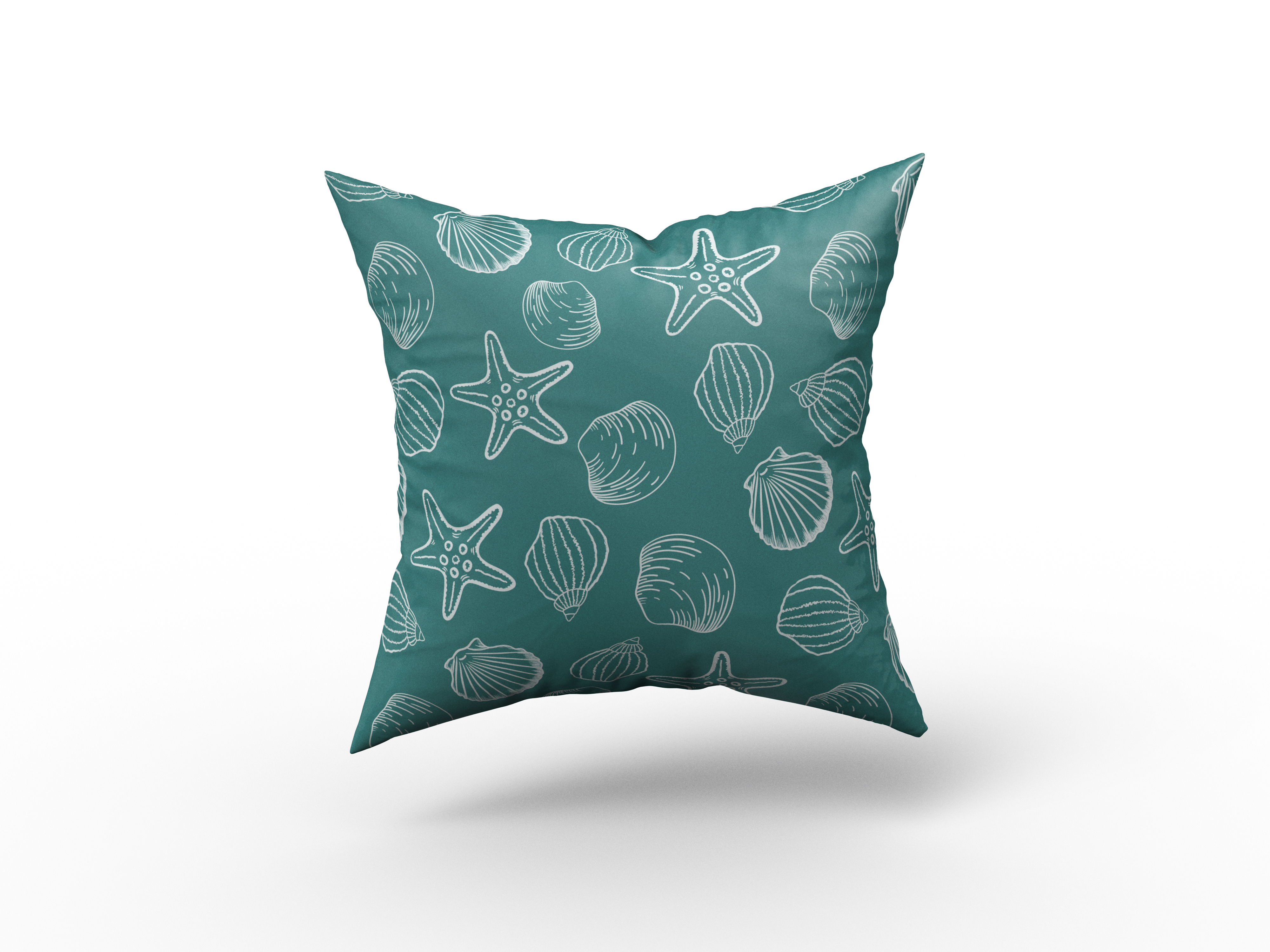 Seashell Starfish Sketch